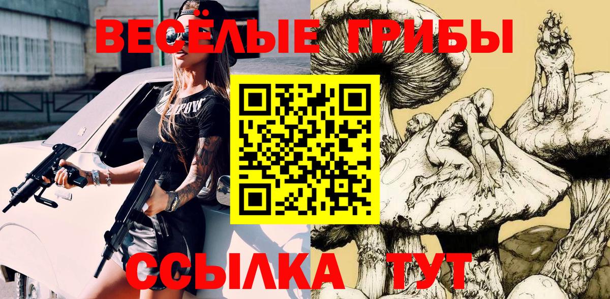 Галлюциногенные грибы прущие грибы Гудермес
