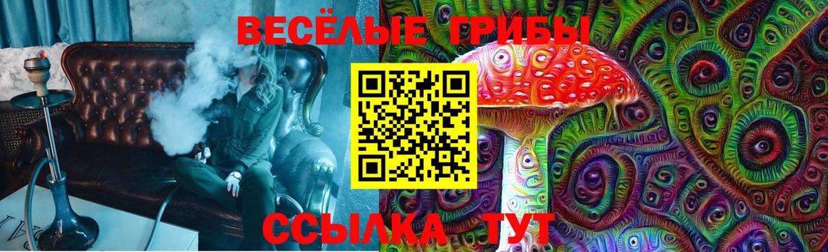 Псилоцибиновые грибы мицелий  Вход с VPN  Гудермес 
